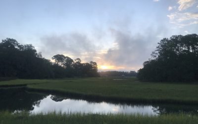 6 Ways to Improve Social Wellness