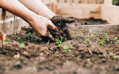 Digging Deeper: How Gardening Nurtures Body and Mind