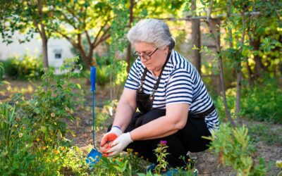 What the Blue Zones Can Teach Us About Healthy Aging and Longevity
